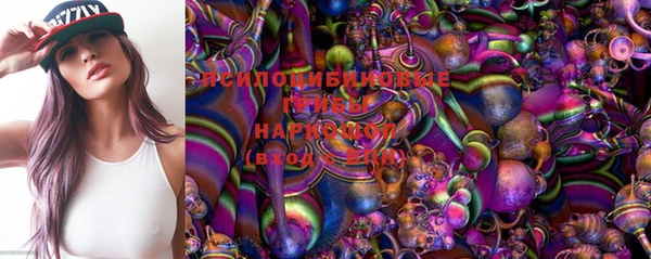 прущие грибы Алексин