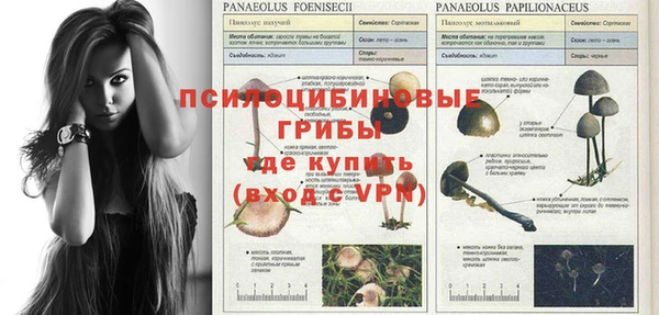 прущие грибы Алексин