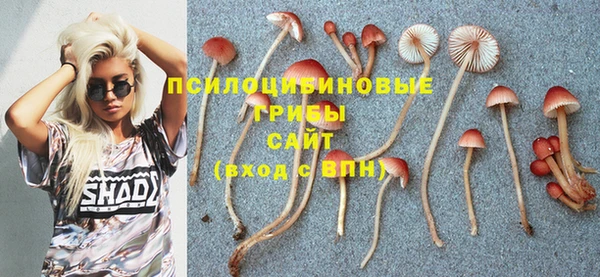 прущие грибы Алексин